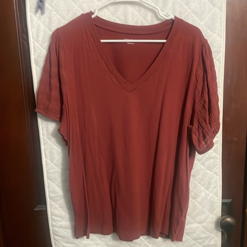 Lane Bryant V Neck T-Shirt